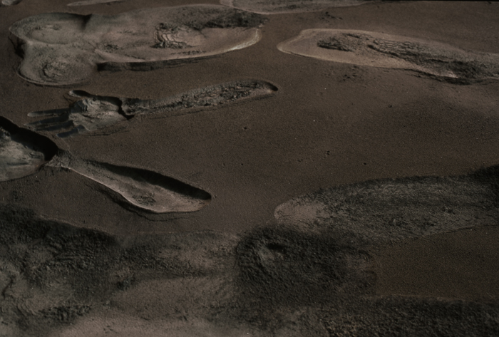 EL LECHO DE LOS AMANTES. Carlos Marquerie