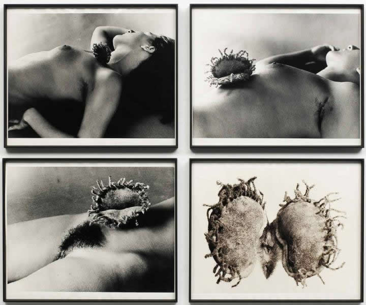 flor-mujer-juan-hidalgo