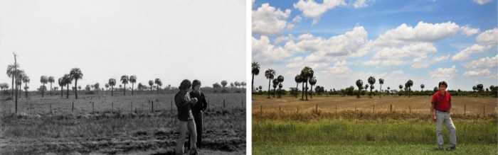 11782-R3L8T8D-1000-6